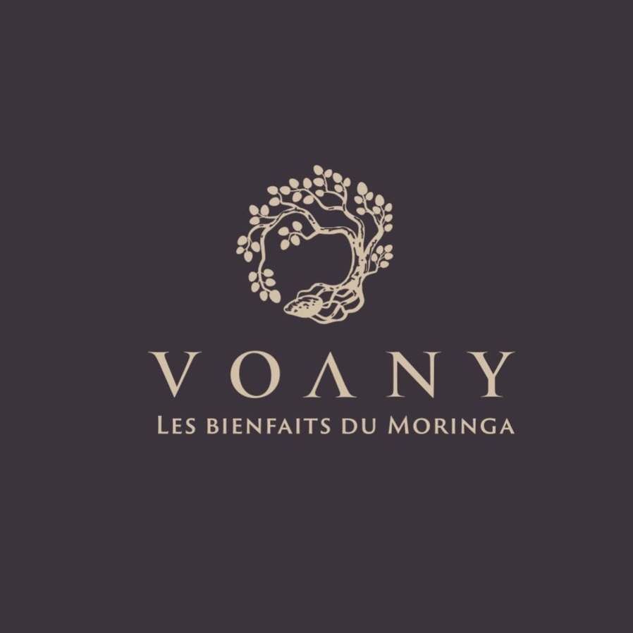 Classic logo design for Voany